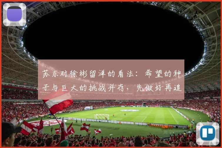 苏东对徐彬留洋的看法：希望的种子与巨大的挑战并存，先做好再追求完美