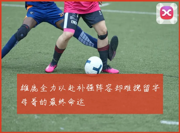 雄鹿全力以赴补强阵容却难挽留字母哥的最终命运