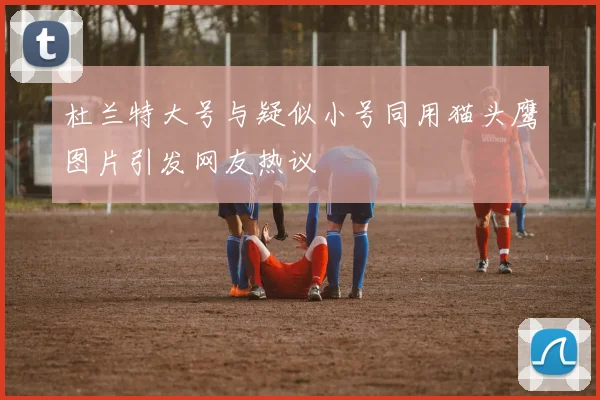 杜兰特大号与疑似小号同用猫头鹰图片引发网友热议